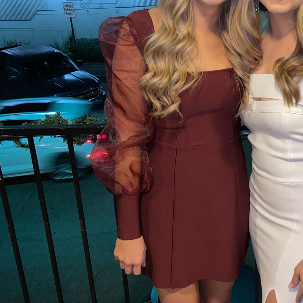 Burgundy Mesh Sleeve Dress